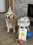 Maxík (Hugo) - oslava jeho 7.narozenin