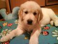 Bady