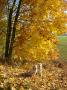 sluníčkový víkend - 30.10.2010