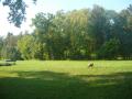 ranní rozcvička - Jemnický park 9/11