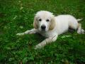 Etien (Jack)
