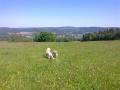 Bady s Carry - 20.5.2012