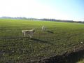 s Dorotkou na vycházce - 19.10.12