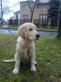 Fénix (Tobi) - 6.1.2013