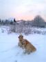 lednový podvečer v Pardubicích - 14.1.2013