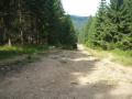 turistka Carry - Šumava 13