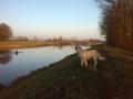 Goldienka u Labe