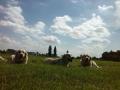 Carry (vpravo) s dcerami Dorotkou a Goldie