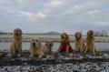 zleva Dorotka, Glen,Goldie, Enži, Carry a Tobi