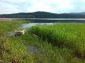 Candy si plave jen tak pro radost 5/16, Šumava,Lipno