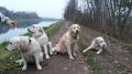 Carrynka a nevyfotitelní potomci Happy, Holly a Harry - 26.11.16