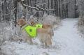 čmucháme zvěřinu - 2.1.2017