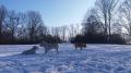 setkání H v Pardubicích 14.1.17