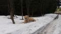 Dorotka na tripu - Krkonoše 4/17