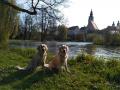 Goldienka s Dorotkou - zámecký park Telč