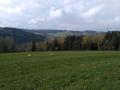 lítačka na horské louce - Orl.hory 5/17