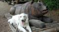 Hollyenka v ZOO