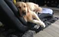 Garp relaxuje