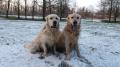Glen a Tobi - 2/18