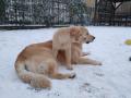 Chillinka a Dorinka
