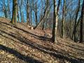 Chillinka s Dorinkou