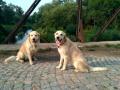 Chillinka s Dorinkou