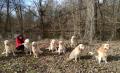 sraz H - Harry, Hellie, Holly, Carry, Goldie, Happy, Hessie,Max