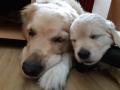 Izzynka s maminkou