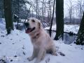 Blondienka - 12/20