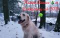 Blondienka
