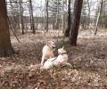 Izzy se starší sestrou Blondie na výletě 4/21