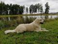 výcviková dovolená - Chaseynek 8/21