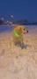 Huck