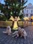 advent v Pardubicích
