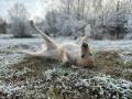 Chillinka