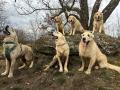 Chasey s potomky, horní řada Annie Izzy a Goldie