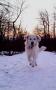 Huck