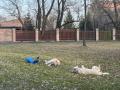 trio válení