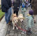 na výletě v Telči s malými psovody